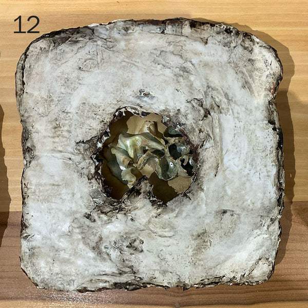 HIDDEN TREASURES, 13"x13", 11.5"x11.5" Ceramic, 2025