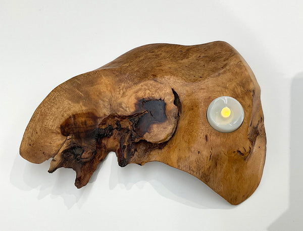 NATURE'S GLOW, Live-Edge Tealight Holders